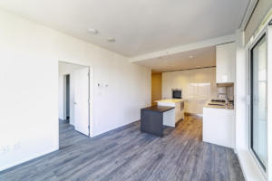 Parham Baghaie Brentwood (19)