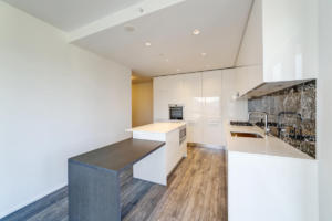 Parham Baghaie Brentwood (20)