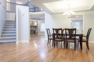 Parham Baghaie Maple Ridge (13)