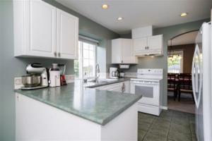Parham Baghaie Maple Ridge (23)