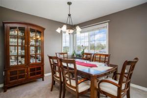 Parham Baghaie Maple Ridge (25)