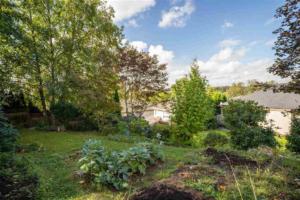 Parham Baghaie Maple Ridge (3) (1)