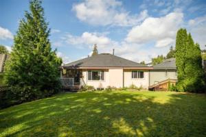 Parham Baghaie Maple Ridge (6) (1)