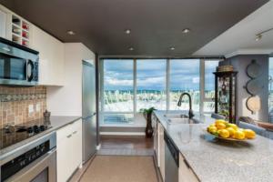 Parham Baghaie Robson Vancouver (18)