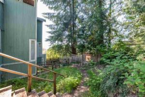Parham Baghaie West Vancouver (13)