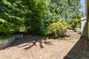 Parham Baghaie West Vancouver (14)