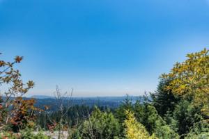 Parham Baghaie West Vancouver (19)