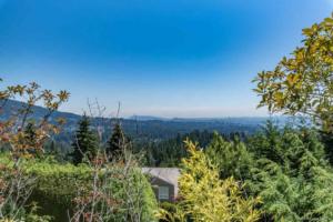 Parham Baghaie West Vancouver (2)