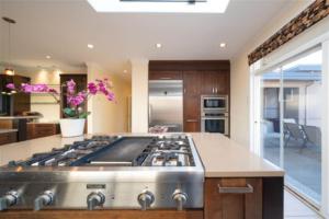 Parham Baghaie West Vancouver (26)