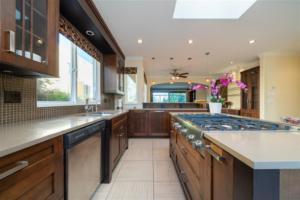 Parham Baghaie West Vancouver (27)