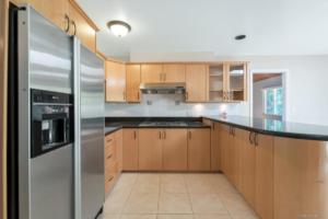 Parham Baghaie West Vancouver (6)