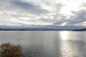 photo server (34)